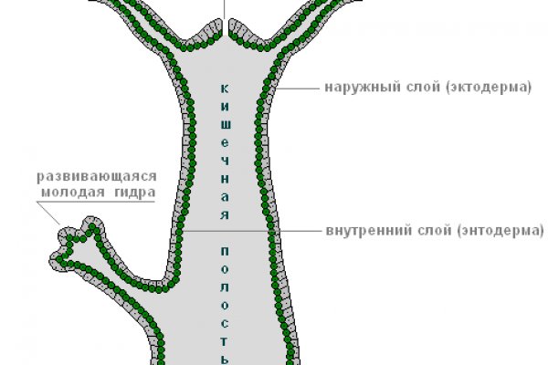 Рабочее зеркало на кракен