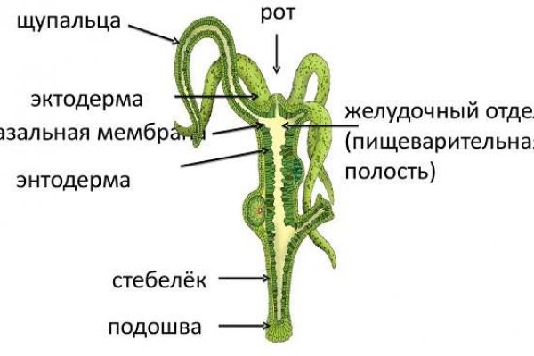 Кракен гидра даркнет