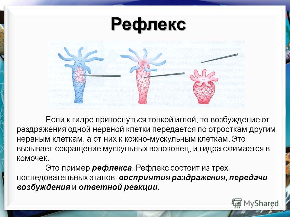 Kraken ссылка зеркало официальный